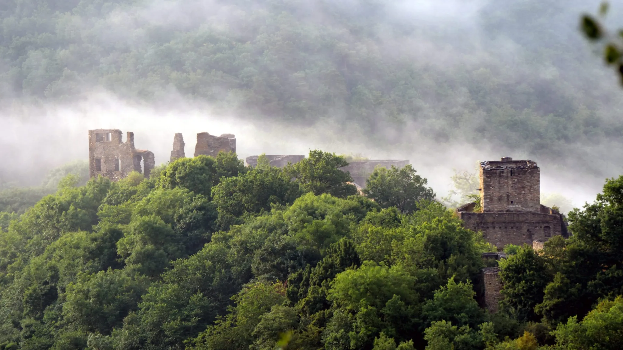 Burgruine Schmidtburg